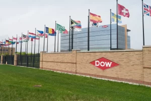 Dow CX Program: Transforming B2B Operations for Success