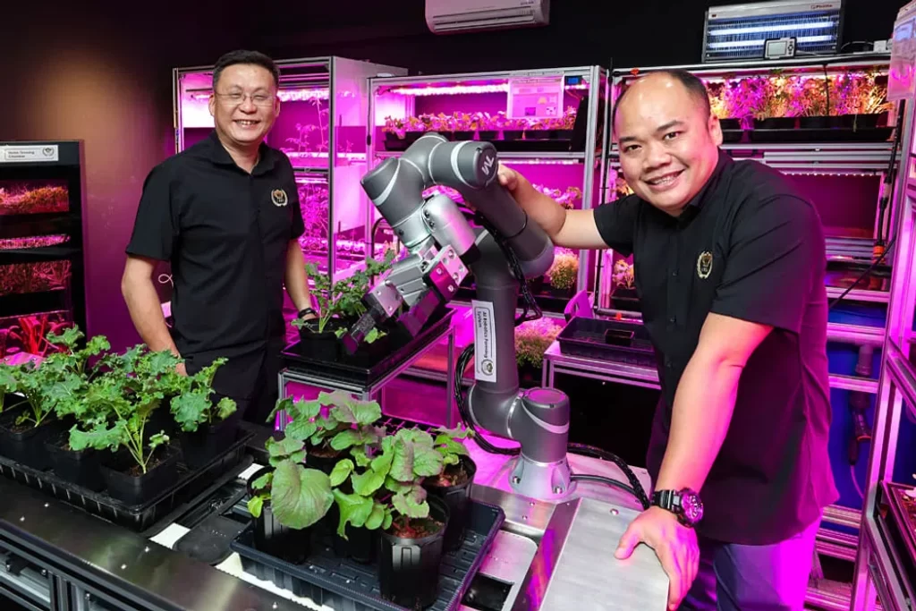 Singapore's Farming Dream: I.F.F.I Turned Into a S$39.4M Failure