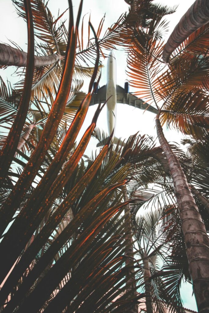 The Bahamas Blueprint: How Fiscal Discipline Becomes Your Ultimate Customer Experience Strategy