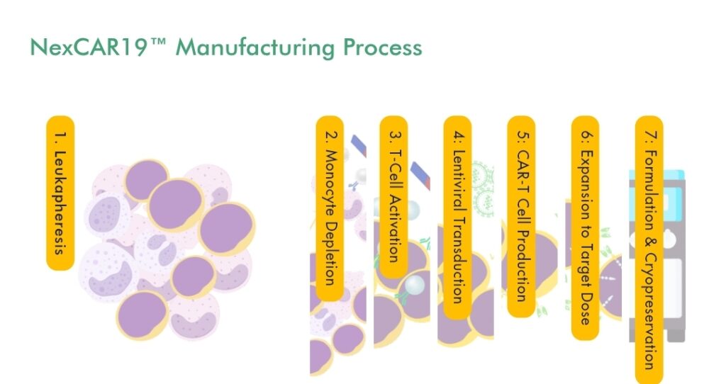 NexCAR19: How Affordable Cancer Therapy Transforms Customer Experience
