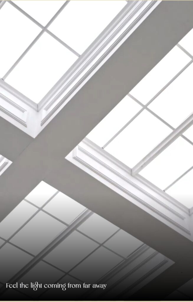 Product-Led Experience Growth: How SUNROOOF Reached ₹15 Cr Without Paid Ads