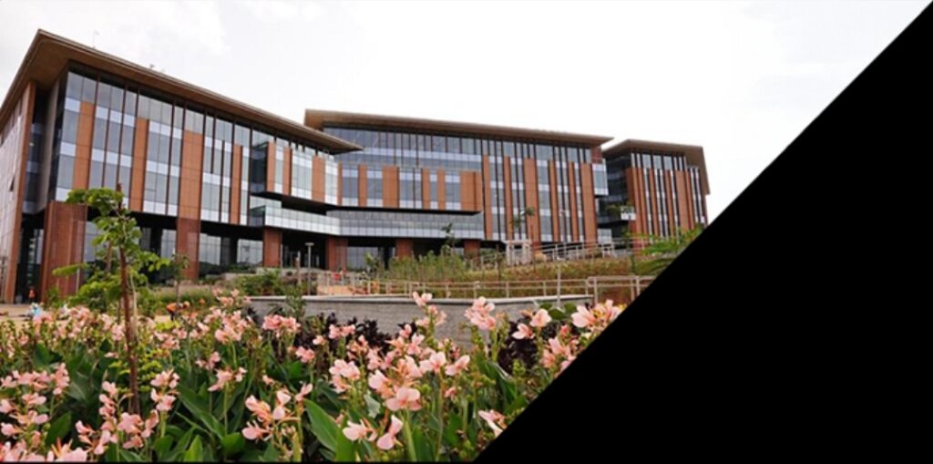 SAP and SRH: Academia Push Signals a Shift in CX Talent Strategy